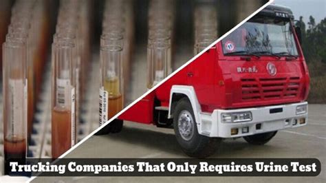 Prime Inc. . Trucking companies that do urine test only